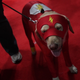 Image for article titled The Cosplay Of New York Comic-Con, Day One